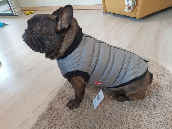 Одежда жилетка кофта свитер для собаки