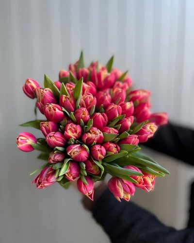 Тюльпаны розница к 8 марта 