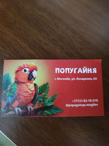 Бесплатный билет в попугайню
