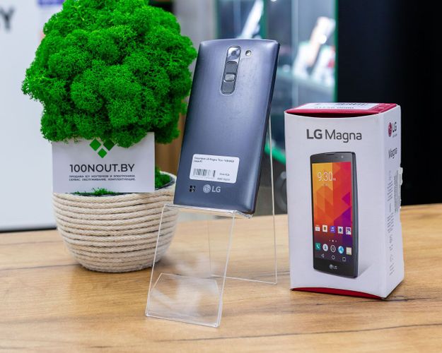 Смартфон LG Magna Titan 1GB/8GB (серый)