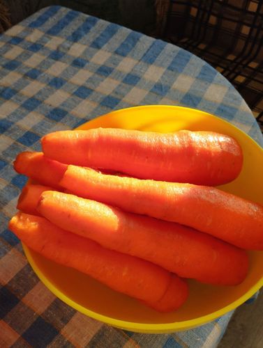  Морковь 