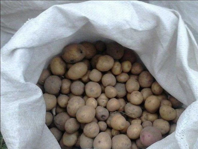 Продам картофель  мелкий