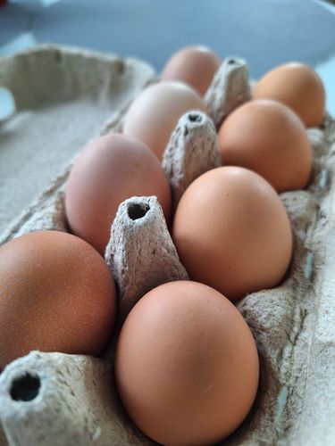 Яйца домашние от молодых несушек