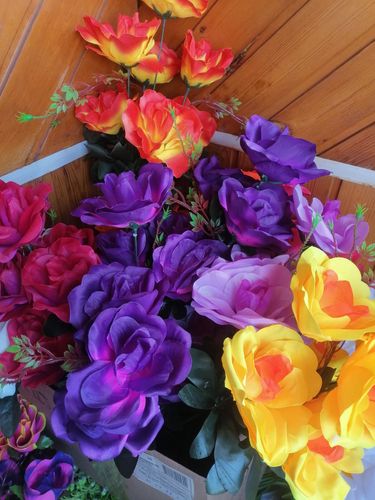 Розы двухцветные 60см