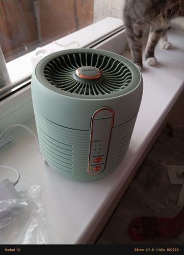 Очиститель воздуха+вентилятор ТОРГ