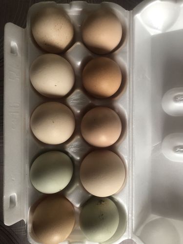 Яйца домашние 