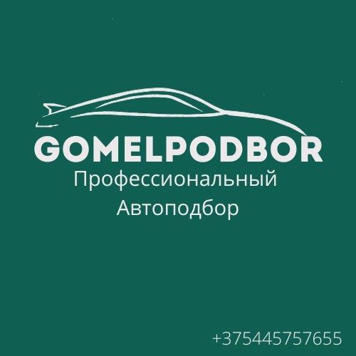 Профессиональный Автоподбор Гомель/Область 