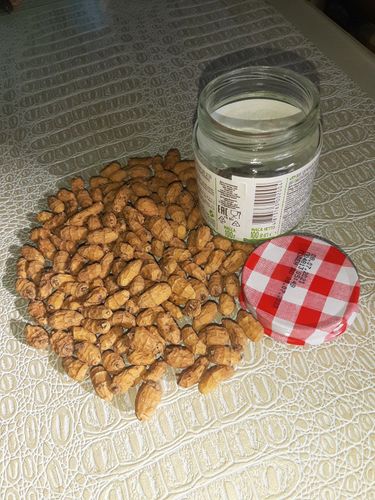 Продажа орешки Чуфа