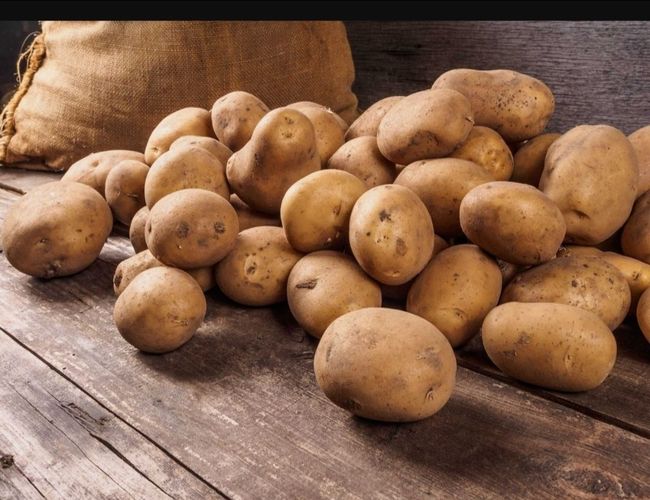 Картошка на рассаду и еду