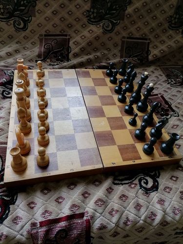 Шахматы дзюдо