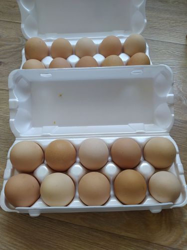 Яйцо куриное домашнее 