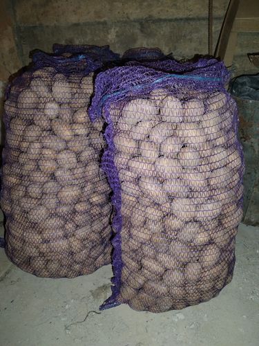 Картофель семенной 30 кг-7 руб. 