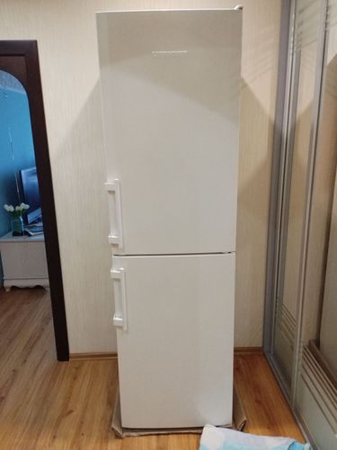 Холодильник LIEBHERR SN3913