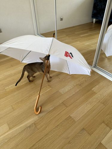 Зонт трость новый 
