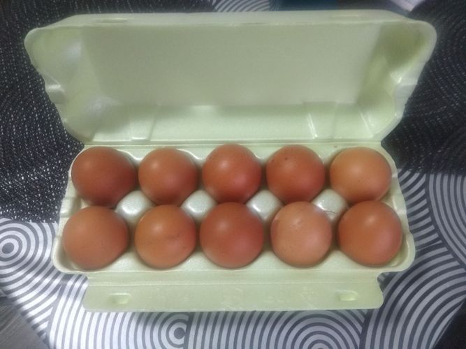 Яйца домашние 