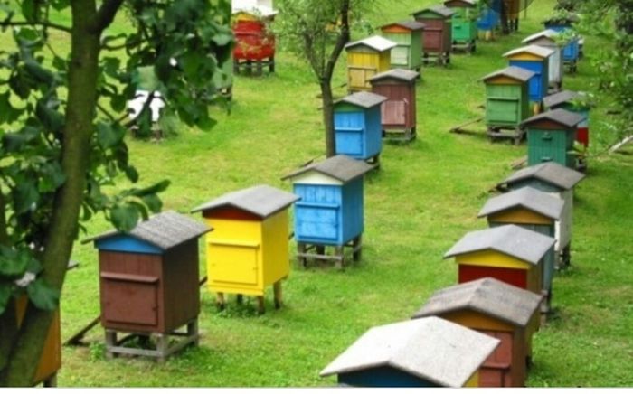 Пчелиные домики