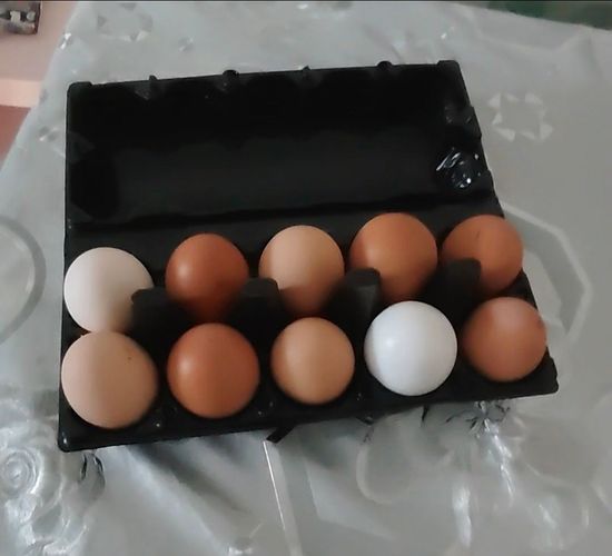 Яйца куриные 