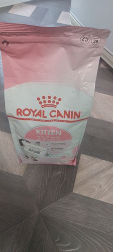 Корм Royal canin kitten