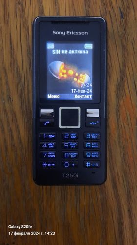   Sony Ericsson T 250i