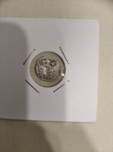 монета серебренный денарий  (1491-1506)