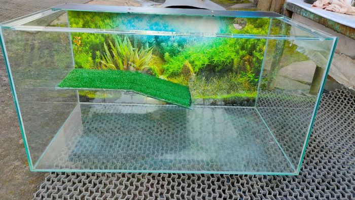 аквариум для водной черепахи бу 