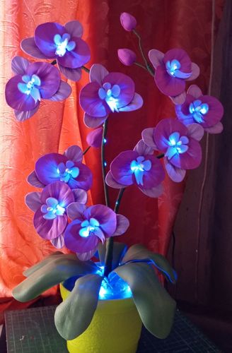 Орхидея декоративная 