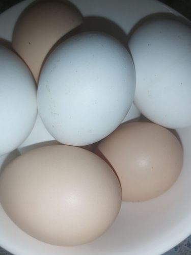 Деревенские яйца