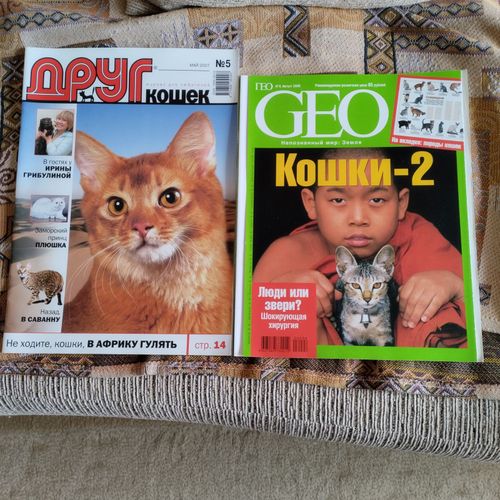 Журналы о кошках