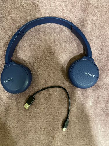 sony wh-ch510