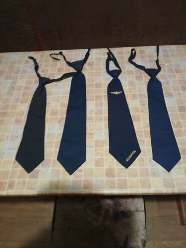 ЖД галстуки